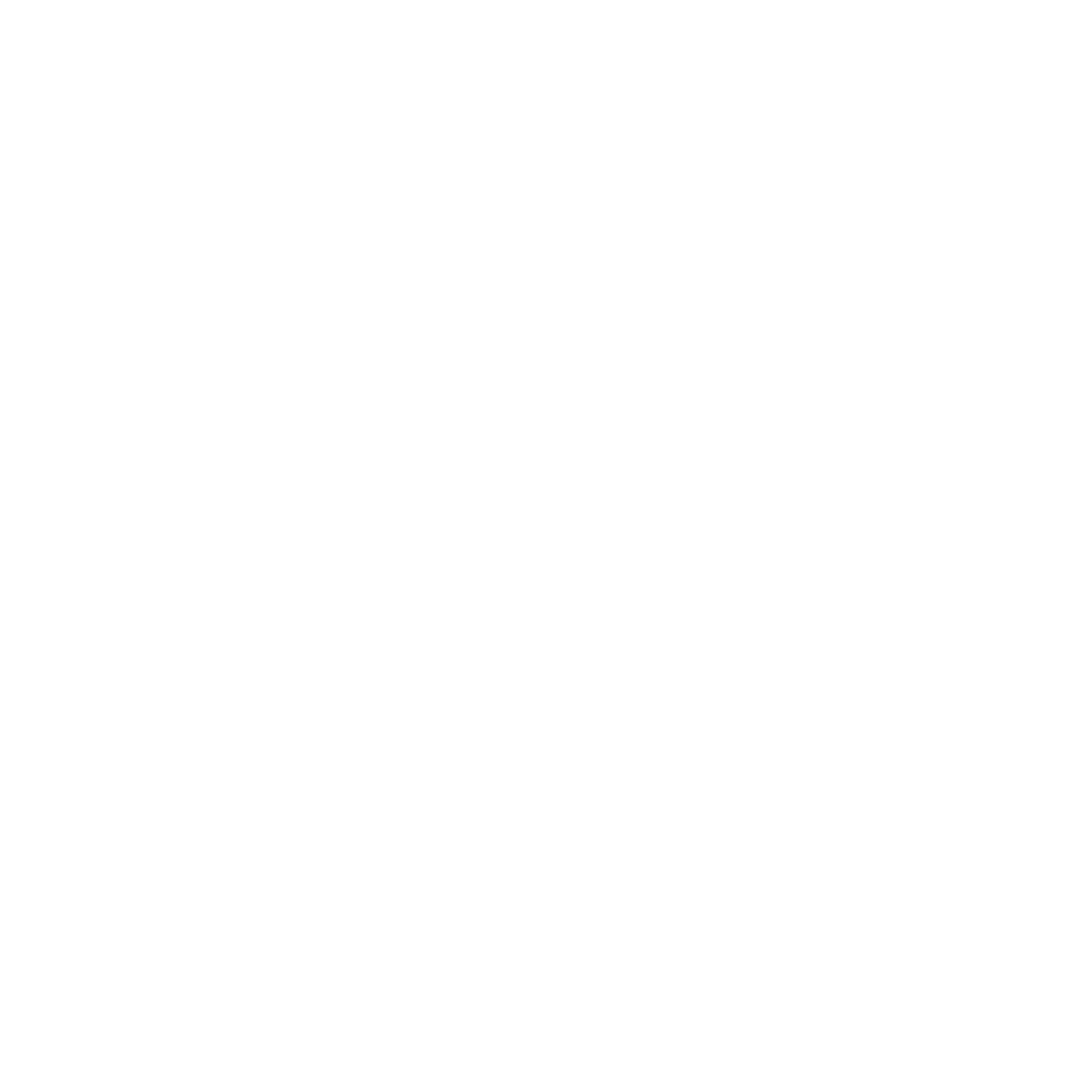 Digital Marketing Icon